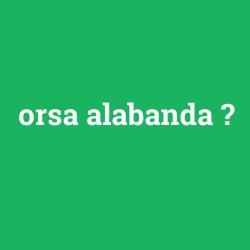 orsa alabanda