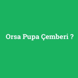 Orsa Pupa Çemberi foto galeri