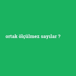 ortak ölçülmez sayılar