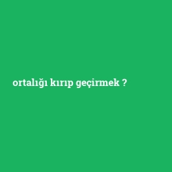 ortalığı kırıp geçirmek