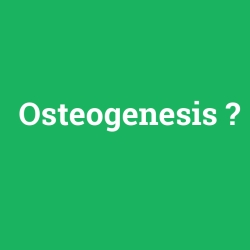 Osteogenesis