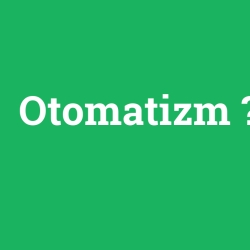 Otomatizm