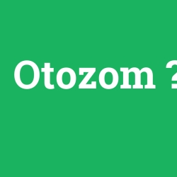 Otozom