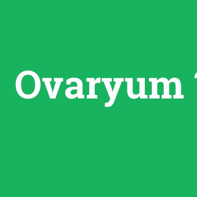 Ovaryum, Ovaryum nedir ,Ovaryum ne demek