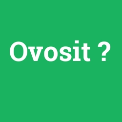 Ovosit