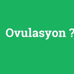 Ovulasyon foto galeri