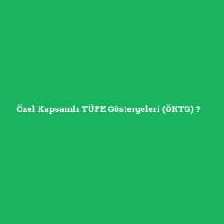 Özel Kapsamlı TÜFE Göstergeleri (ÖKTG)