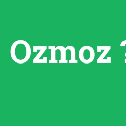 Ozmoz