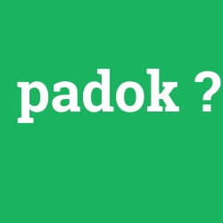 padok