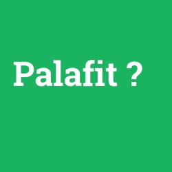 Palafit