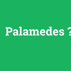 Palamedes