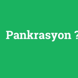 Pankrasyon foto galeri