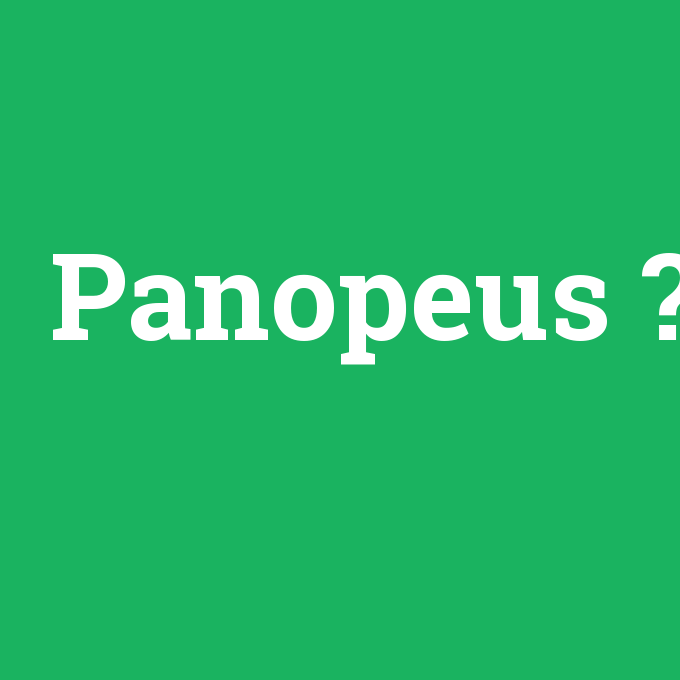 Panopeus, Panopeus nedir ,Panopeus ne demek
