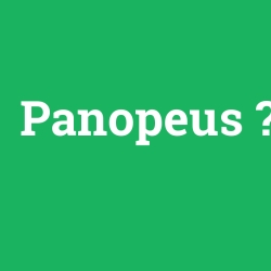 Panopeus