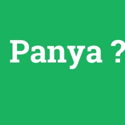 Panya