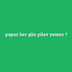 papaz her gün pilav yemez