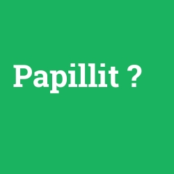 Papillit