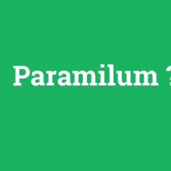 Paramilum