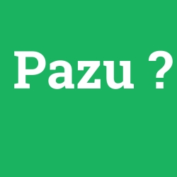 Pazu