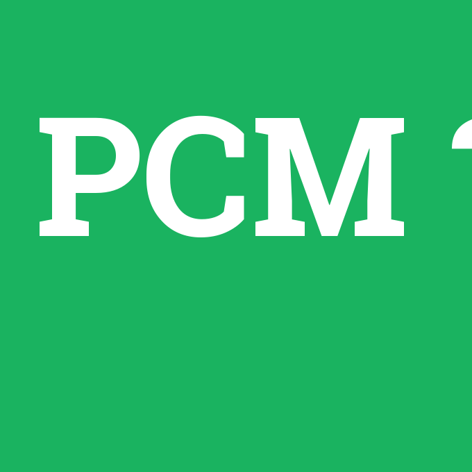 PCM, PCM nedir ,PCM ne demek