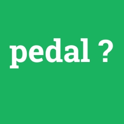 pedal foto galeri