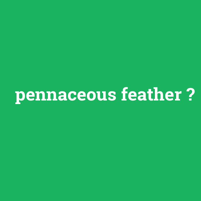 pennaceous feather, pennaceous feather nedir ,pennaceous feather ne demek