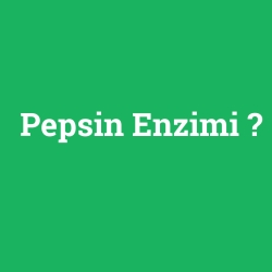Pepsin Enzimi