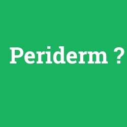 Periderm
