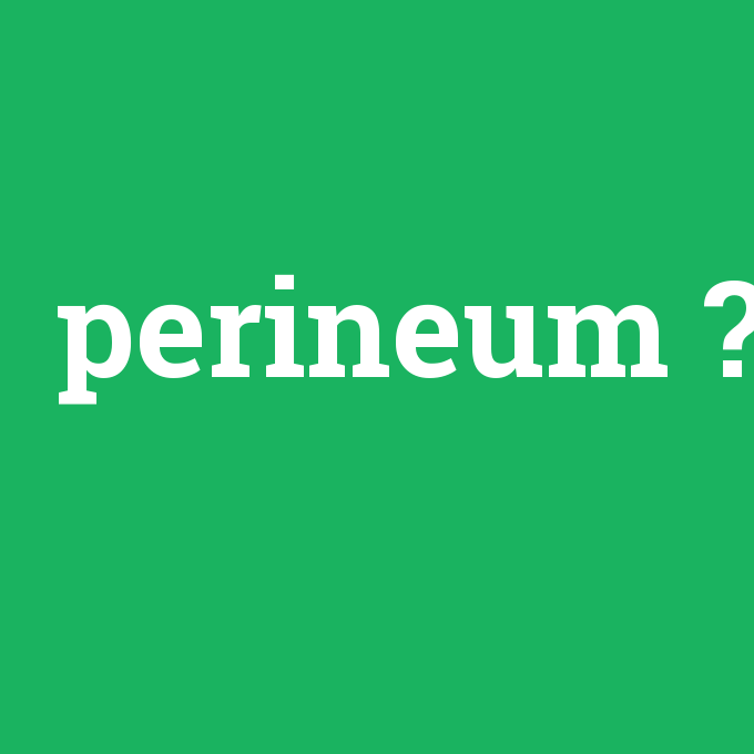 perineum, perineum nedir ,perineum ne demek