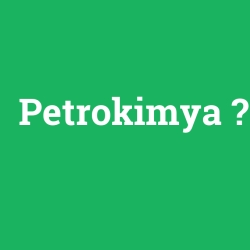Petrokimya