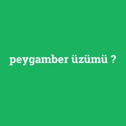 peygamber üzümü