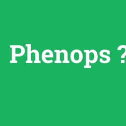 Phenops