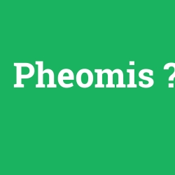 Pheomis