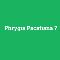 Phrygia Pacatiana