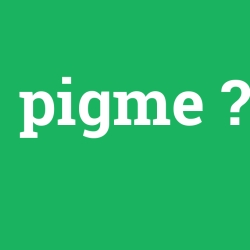 pigme