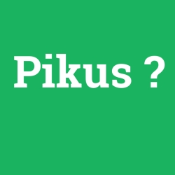 Pikus
