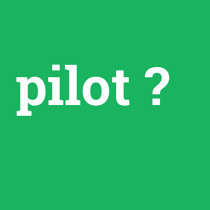 pilot, pilot nedir ,pilot ne demek