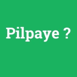 Pilpaye