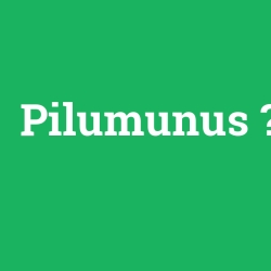 Pilumunus
