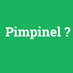 Pimpinel