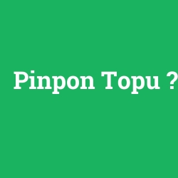 Pinpon Topu