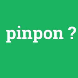 pinpon