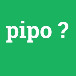 pipo