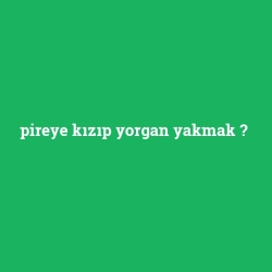 pireye kızıp yorgan yakmak