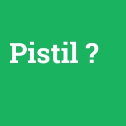Pistil