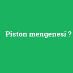 Piston mengenesi