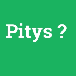 Pitys