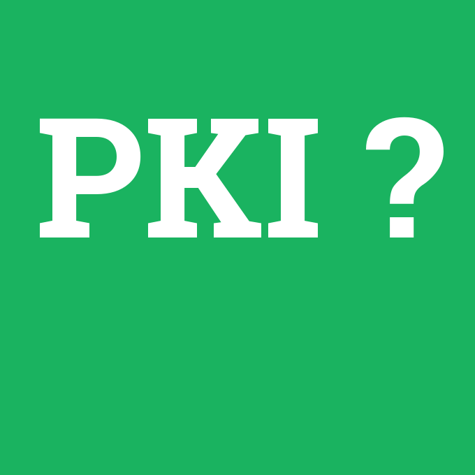 PKI, PKI nedir ,PKI ne demek