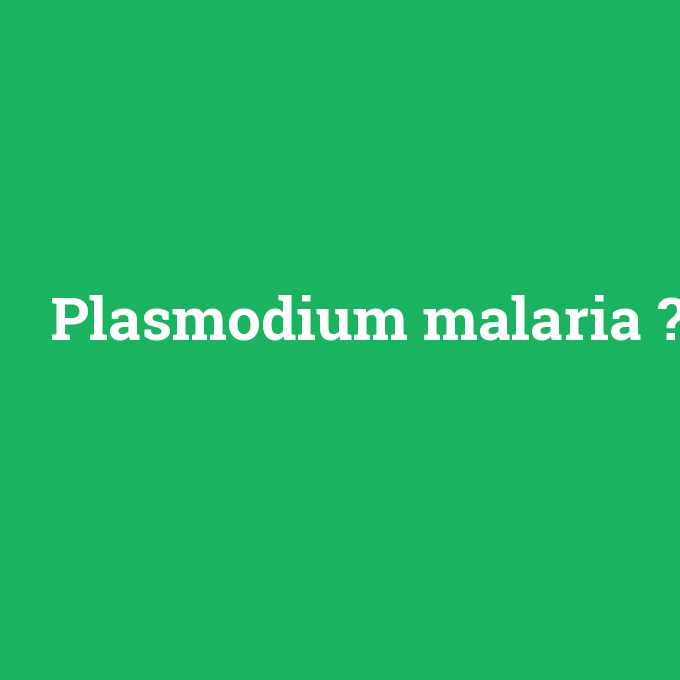 Plasmodium malaria, Plasmodium malaria nedir ,Plasmodium malaria ne demek