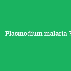 Plasmodium malaria